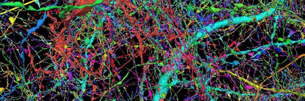 JoeStohlman's profile banner image