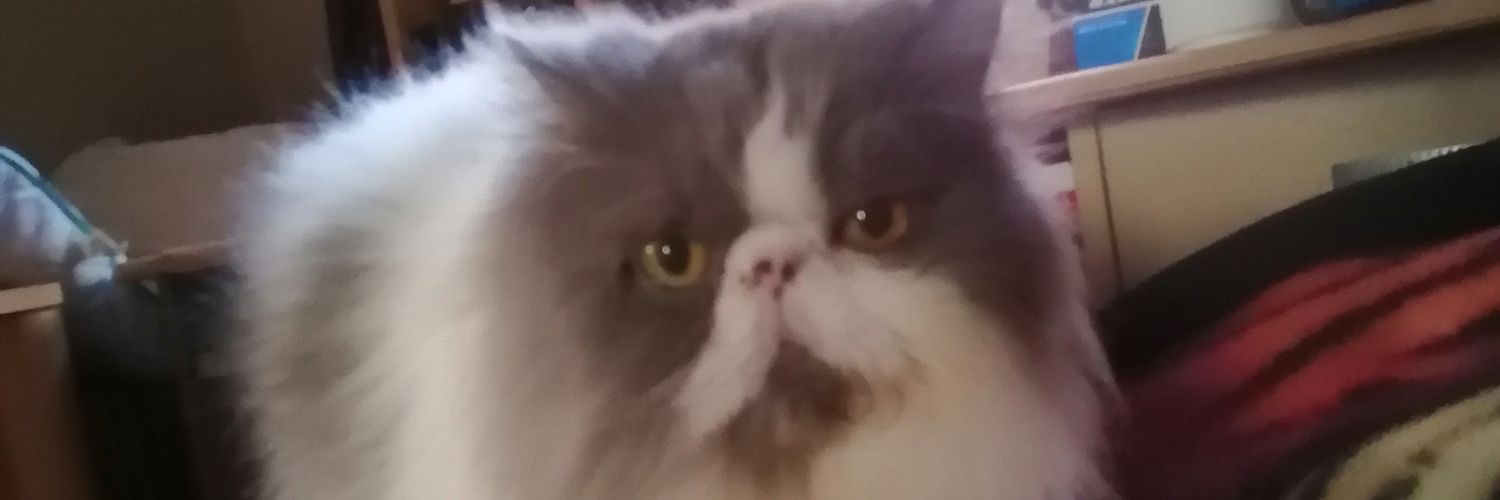 Roberto C. Monreal D banner