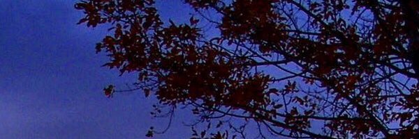 Tekesfi Profile Banner