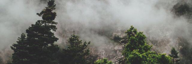 ____frenchtoast's profile banner image