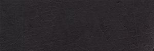 rothbus's profile banner image