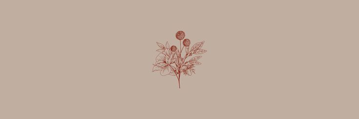 fbysla's profile banner image