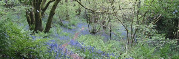 JointTraining Profile Banner