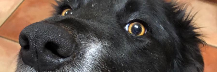 BilboCurran's profile banner image