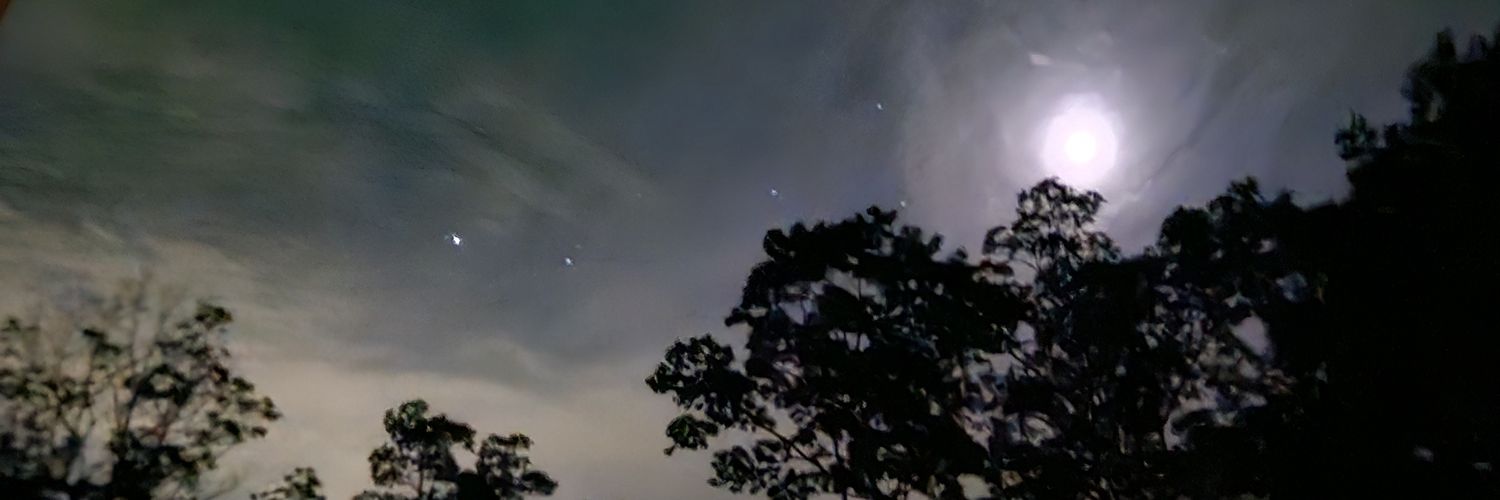 John Ross banner