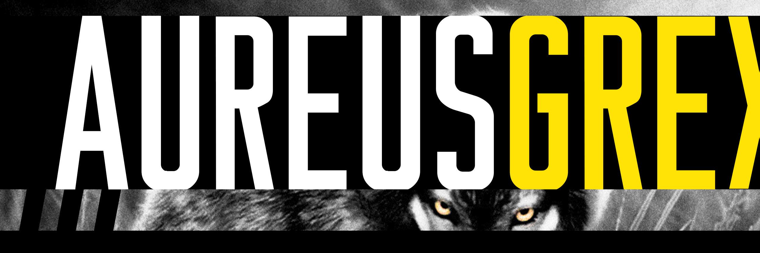 AureusGrex's profile banner image