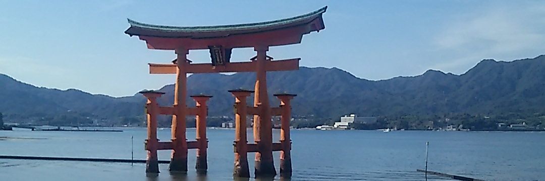 maotoyoco's profile banner image