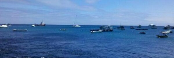 ChemberEc Profile Banner