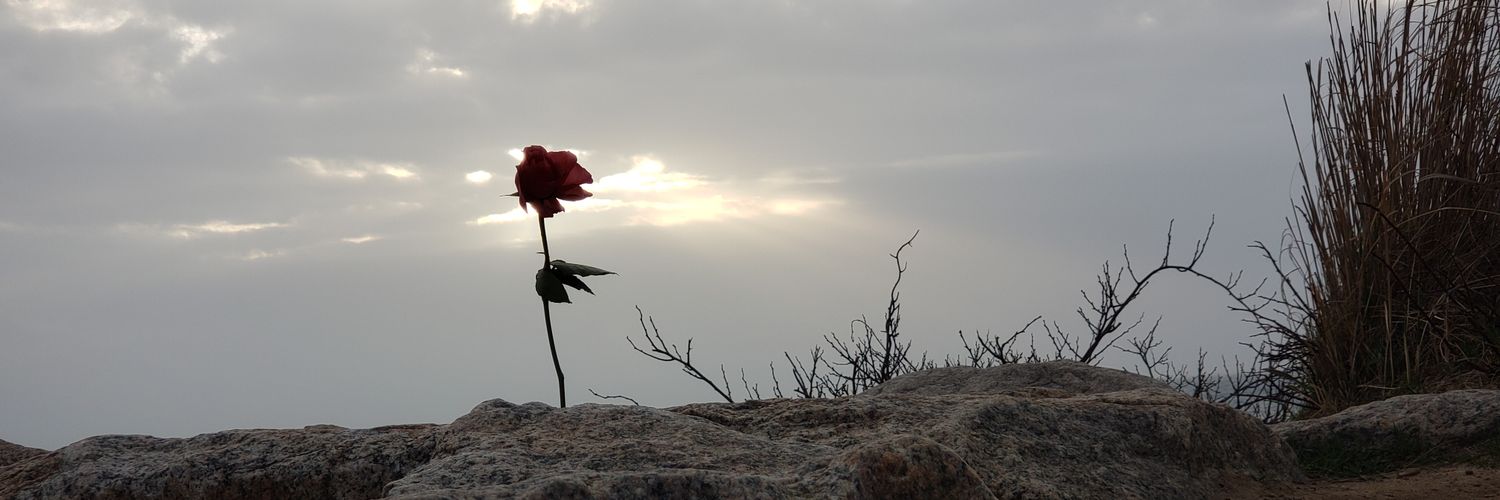 Brandon Perry banner