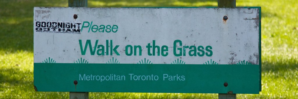 Carbon Credit Campbell (he/him) banner