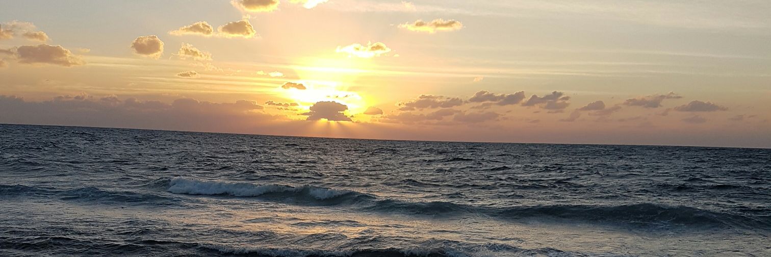 AaAbeerabd's profile banner image