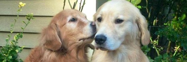 Vivek61124005 Profile Banner