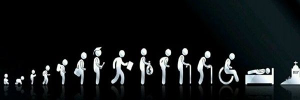 FeedbackRecords's profile banner image