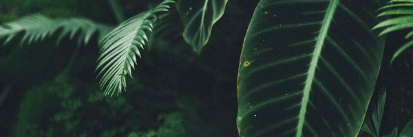 JaBriaSymone Profile Banner