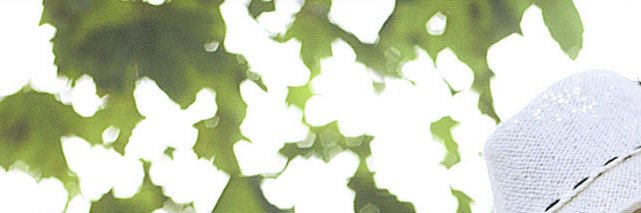 trz_bier's profile banner image