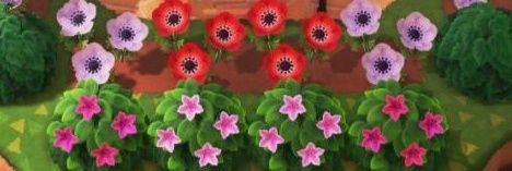 poppun77's profile banner image