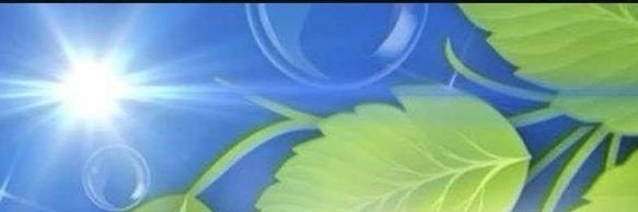trehfilth banner