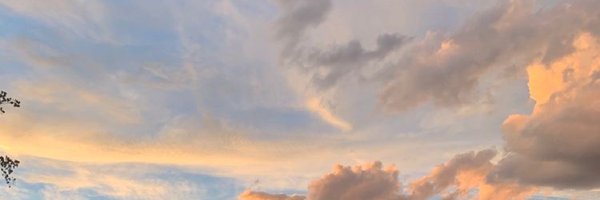 Furrocityy Profile Banner