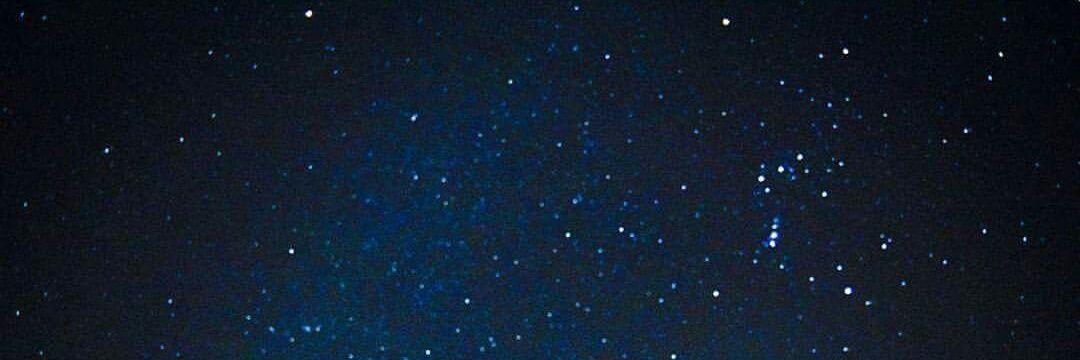 reneecland's profile banner image