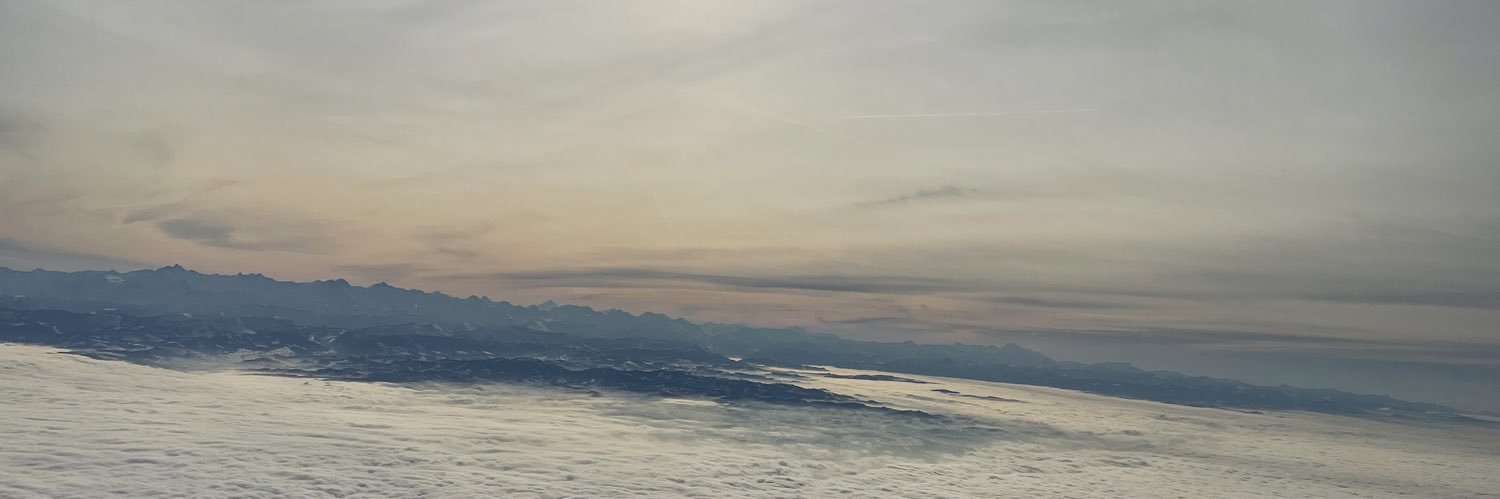 Stéphane Pallage banner