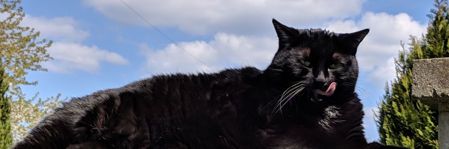 Birgit👣 Sappho🐾 Kalipso🐾 banner
