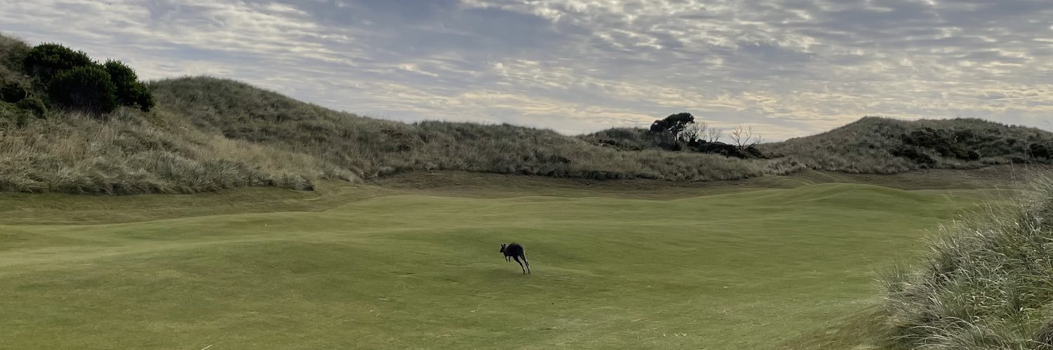 Morgan Williams banner