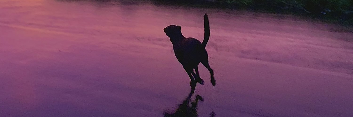 eusoufabiomesmo's profile banner image