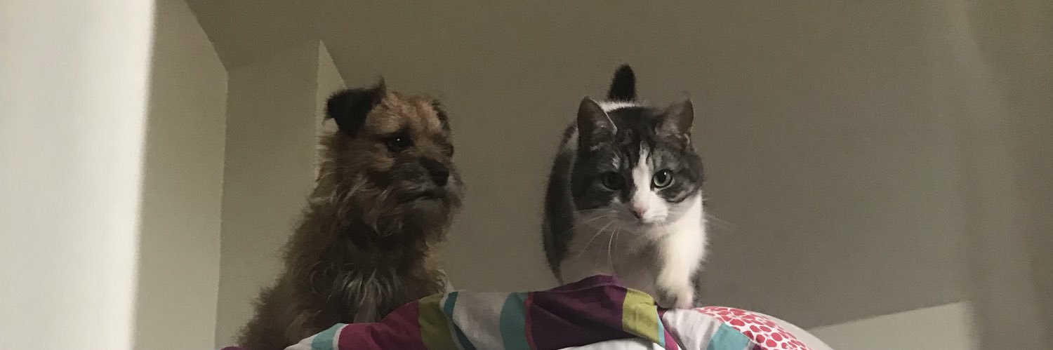 Sir Riley & Sir Rooster's banner