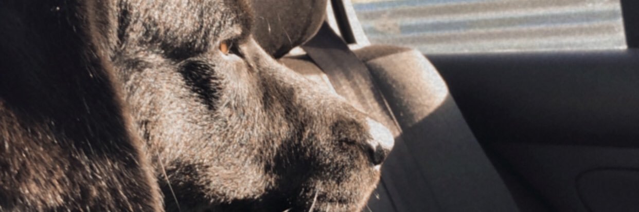 ximevas_27's profile banner image