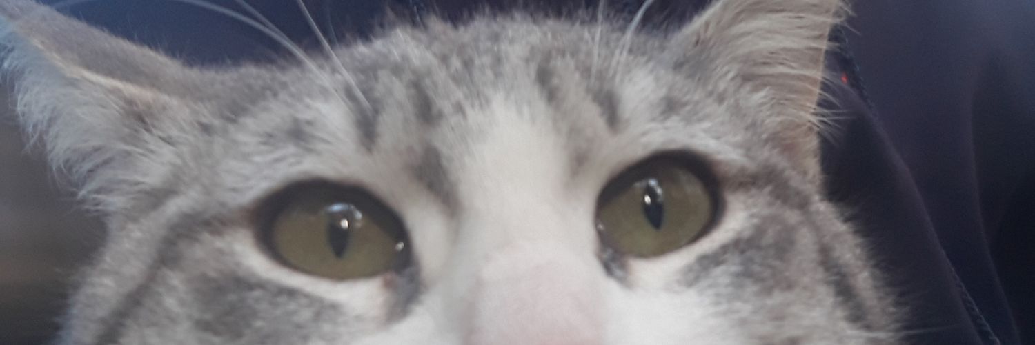 Teymur05053802's profile banner image