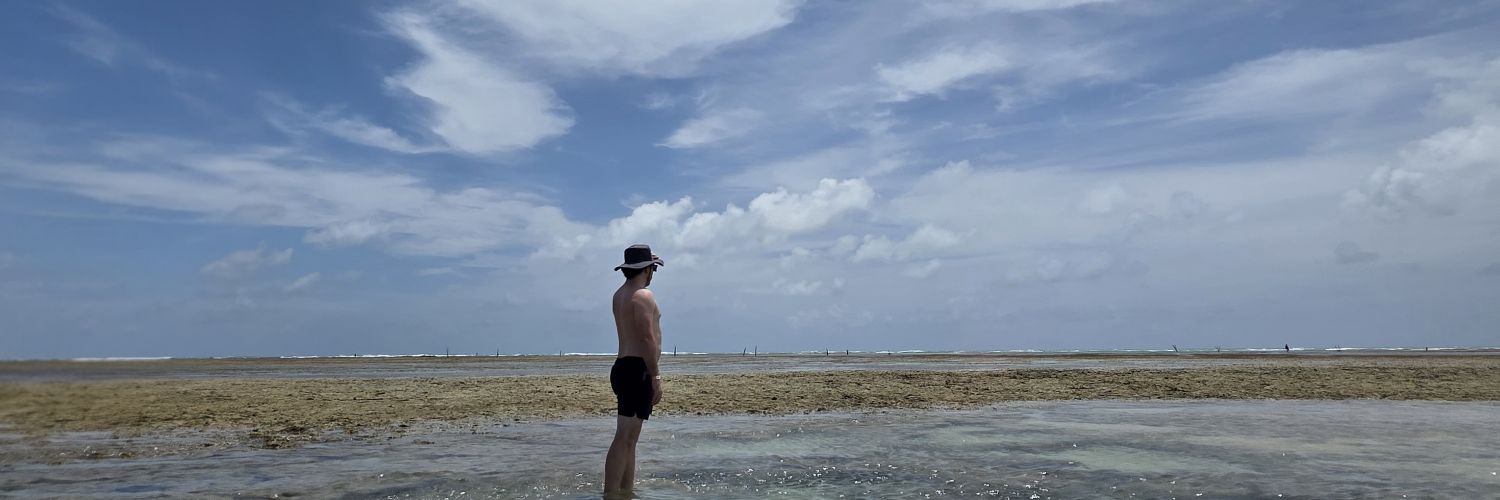 Felixandresharo's profile banner image