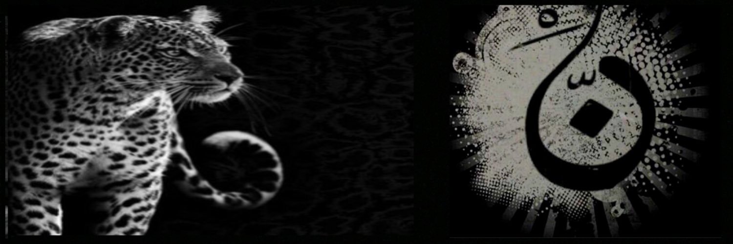 n1_d11's profile banner image