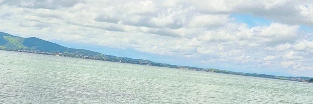 anaglayce_f's profile banner image