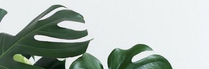 sarahbasile93's profile banner image