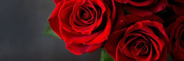 Niki_Sky69 Profile Banner