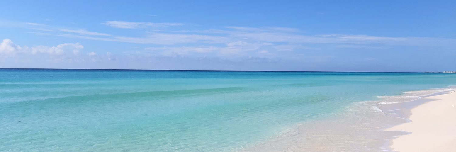 ercikrho's profile banner image