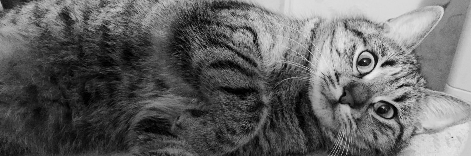 kidkuinn's profile banner image