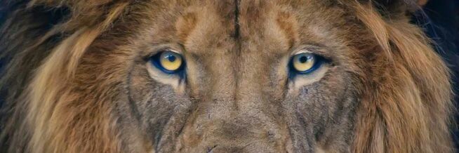 efo_akorfa's profile banner image
