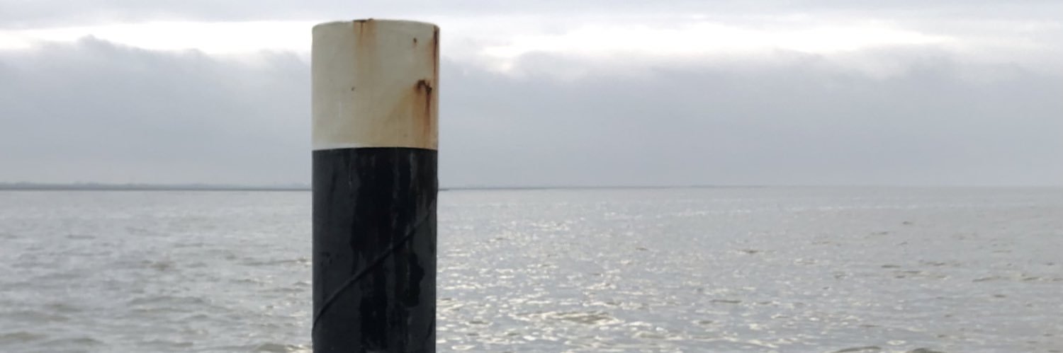 Justine Pardoen banner