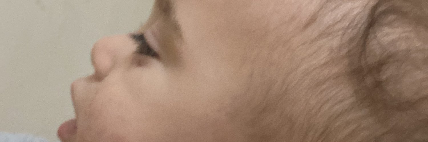 MagnoRosania's profile banner image