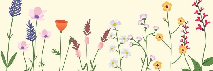 alymarrelli's profile banner image