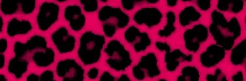 kimmy 💋 banner
