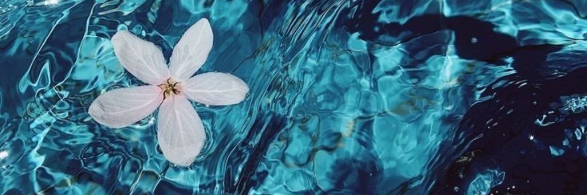 ley_x33's profile banner image