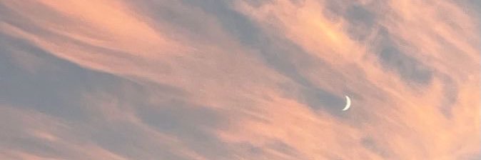 cocoxamber's profile banner image