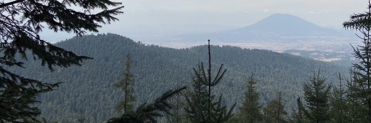 AmaliiRG's profile banner image