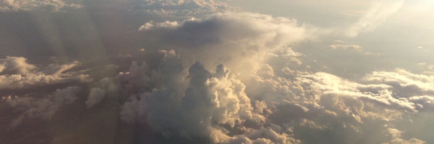 OpaLarson's profile banner image