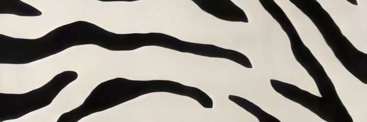 GamboaLoana's profile banner image