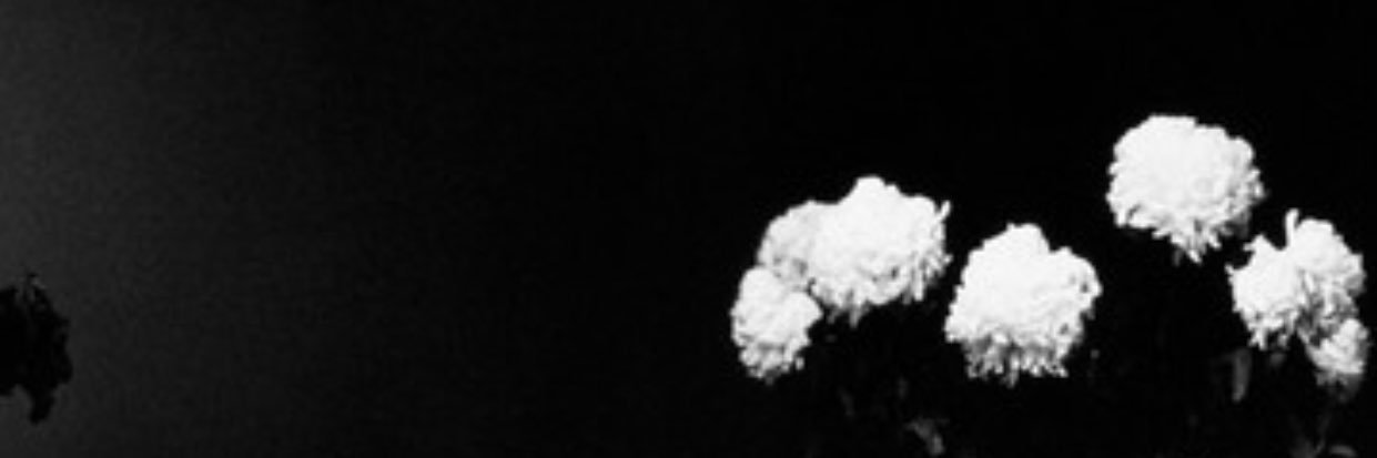 Ajaib Kan? banner