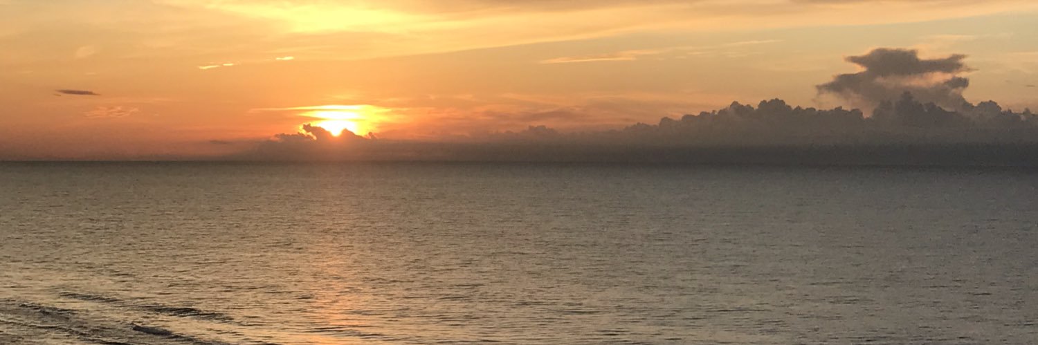 JadeABugg's profile banner image