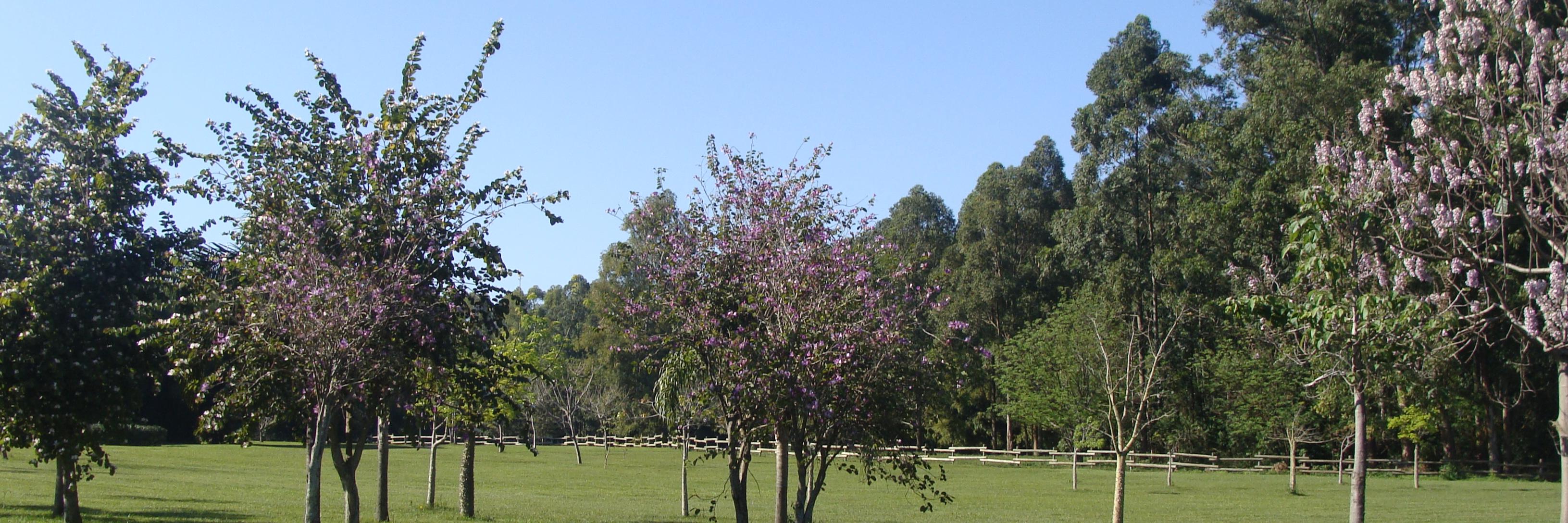 DanielWasmer's profile banner image